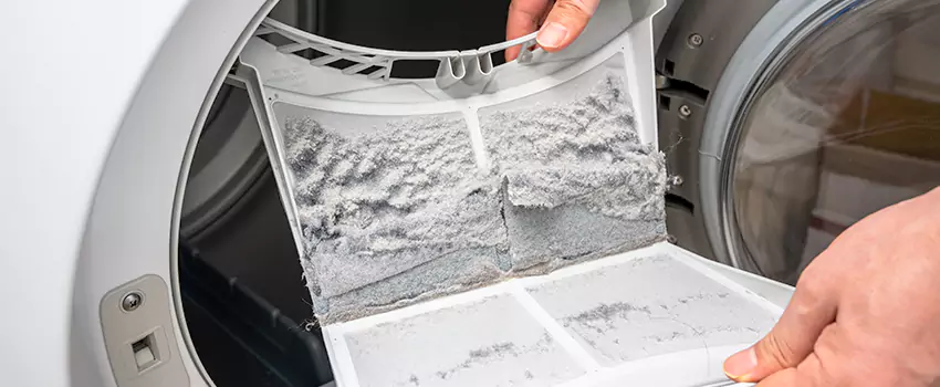 Best Dryer Lint Removal Company in Perrysburg, Ohio